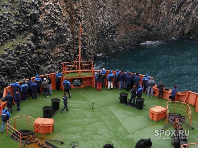 тип Арктика_35.jpg